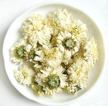 白菊花茶有什麼功效 白菊花茶有什麼功效