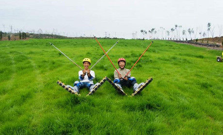 滑草 在草上自由的飛翔