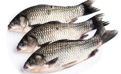 鯽魚湯怎麼做好吃_鯽魚湯的做法_鯽魚湯的功效與作用_怎麼挑選鯽魚_鯽魚豆腐湯_怎麼選購和判斷活魚還是死魚
