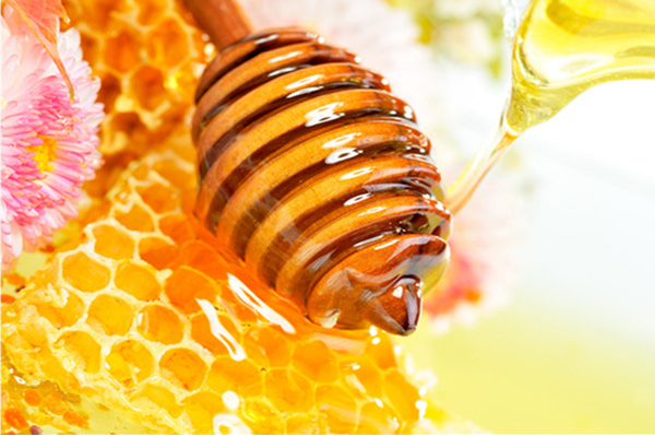蜂膠的功效與作用及食用方法介紹