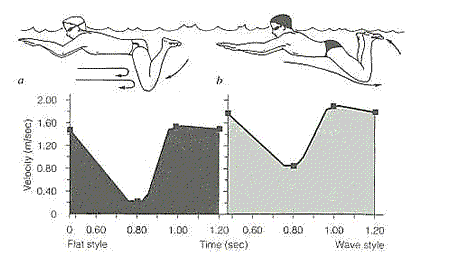 波浪式蛙泳的優點是什麼