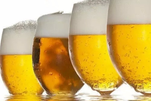  什麼啤酒喝瞭能減肥