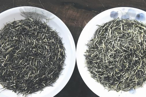 新茶和陳茶的區別 三招教你輕松識好茶