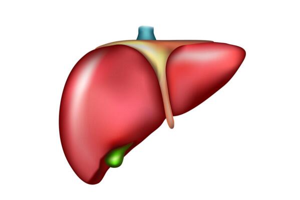 細菌性肝膿腫的致病原因與預防
