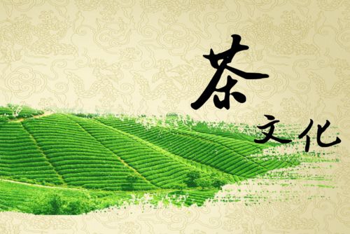 尋茶之旅帶你走進安徽茶文化
