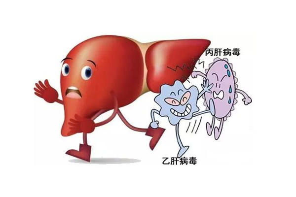乙肝的傳播途徑_如何預防_傳播方式