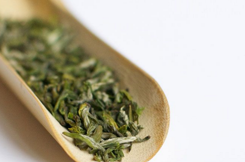 蒙頂甘露 茶種故舊名茶先驅