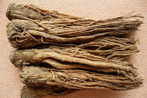 當歸的作用_當歸的功效與作用