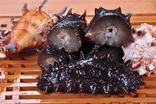 海參