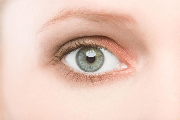 要擁有好視力 離不開的營養素