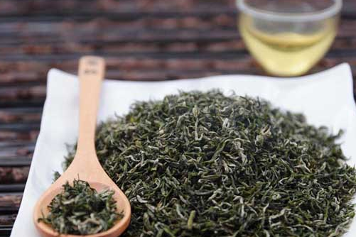 都勻毛尖 你不知道的茶葉知識
