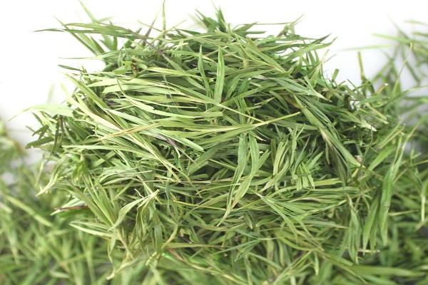 石竹茶的功效與作用