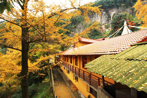 大邑鶴鳴山攻略 旅遊指南