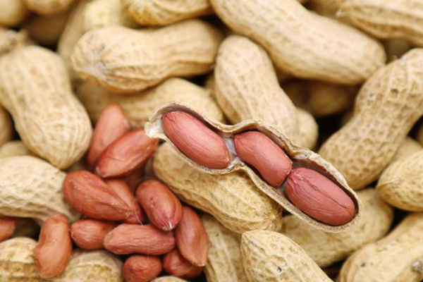 吃什麼美容_美容養顏的食物有哪些 花生