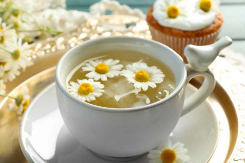 菊花茶泡法 人生是杯茶,上下沉浮