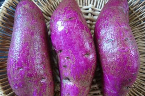 紫薯——抗疲勞+抗衰老
