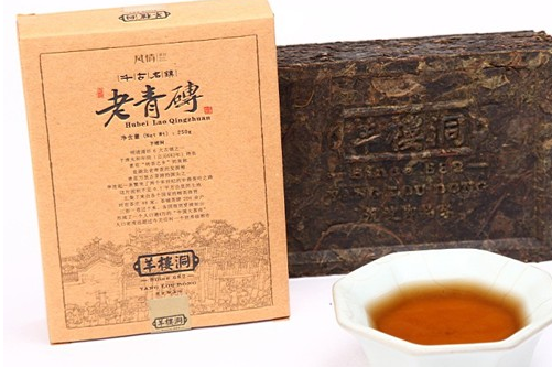 老青茶 外行也能瞬間辨好壞