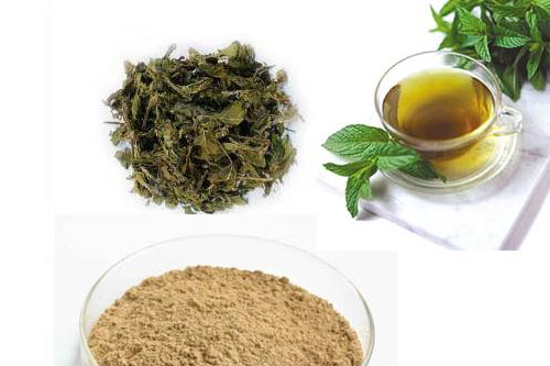 茶多酚含量最高的茶 養生誤區需杜絕