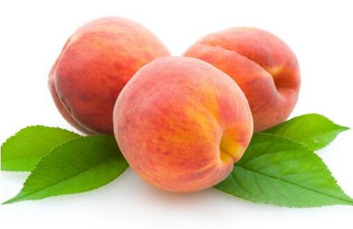 桃子痛風病人可以吃嗎