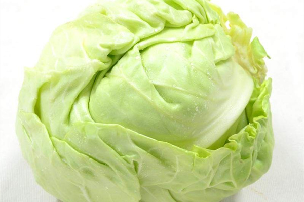 圓白菜的作用功效_吃圓白菜的好處 圓白菜