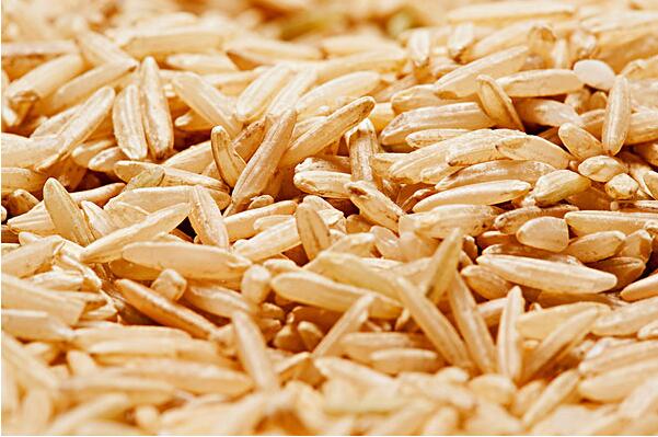多吃糙米助你成功減肥
