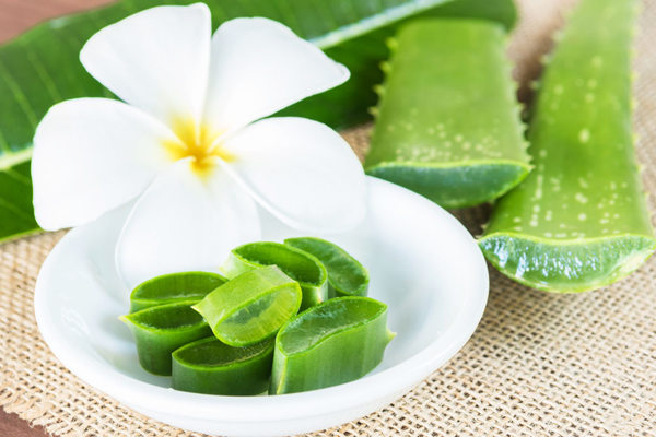 美容消炎蘆薈羹 做出來一點都不苦