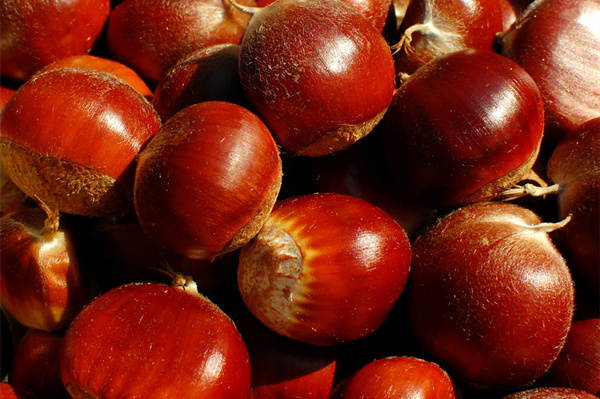 補腎健脾食物有哪些_腎不好_脾不好吃什麼 栗子