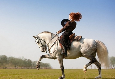 騎馬如何保證自己的安全