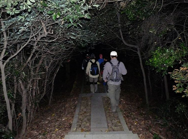 夜晚爬山需要註意些什麼