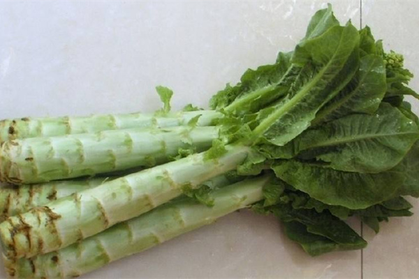 萵筍