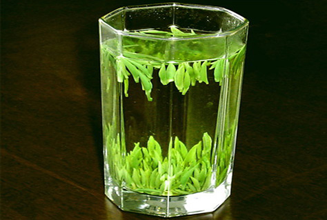 雀舌茶是什麼茶