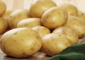 尿酸高能吃馬鈴薯嗎