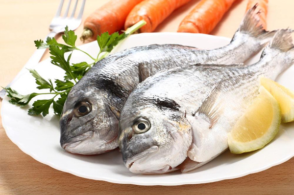 吃野生魚好嗎_野生魚可以吃嗎 魚肉