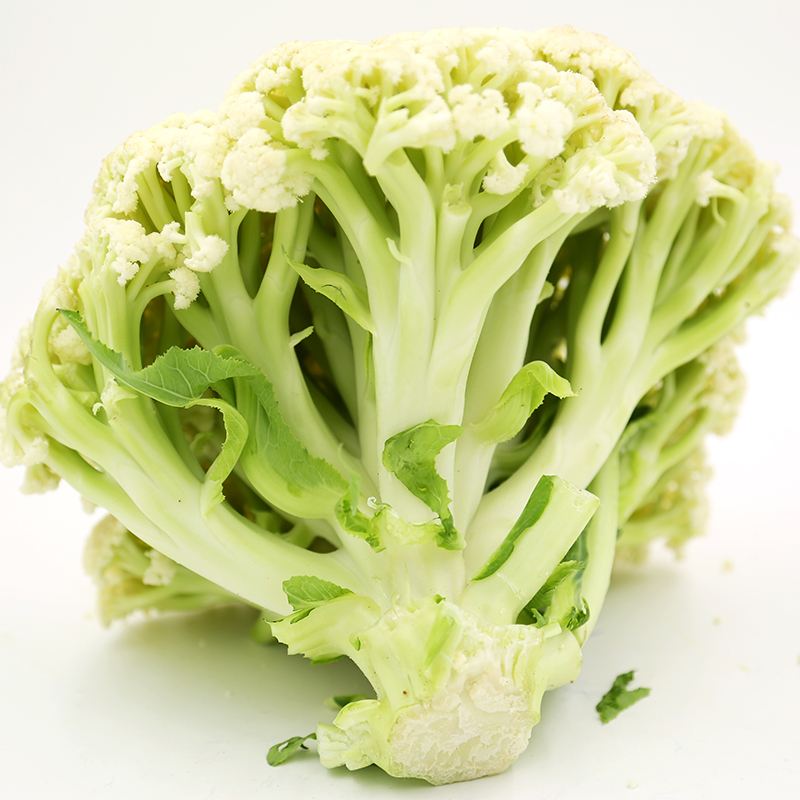 腎炎患者可以吃花菜嗎