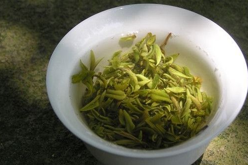 茶葉愛好者為你揭秘黃芽茶