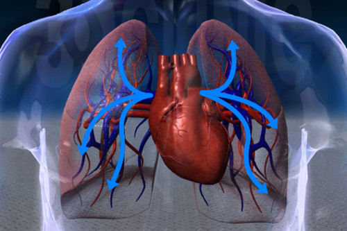 肺癌3大並發癥 患者們千萬別忽視!