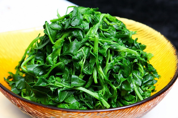 苜蓿菜 苜蓿花 苜蓿柿子
