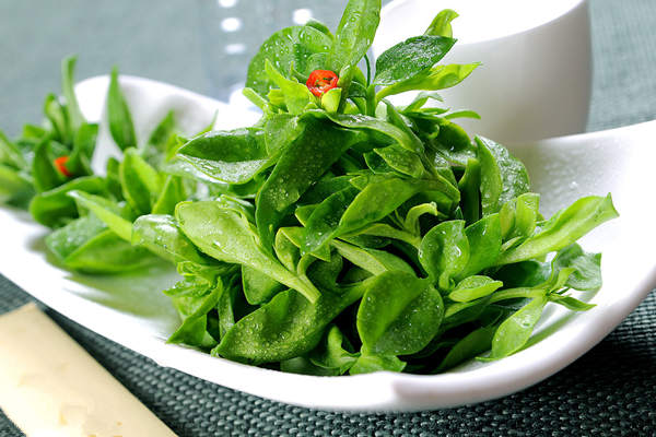 產後傷口腫痛難忍 除瞭止痛泵還可以吃田七燉雞