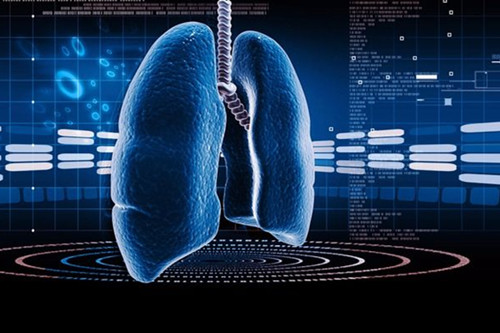 常下廚房易患肺癌 8種食物預防!