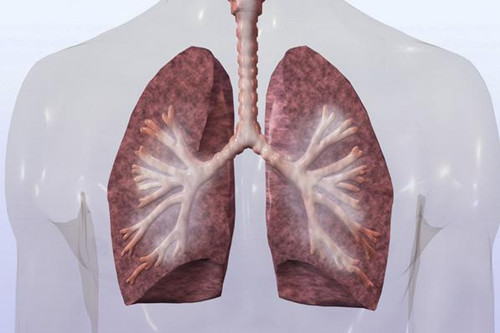 肺癌晚期能活多久 積極治療可延長生存期