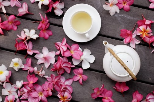 花果茶哪個牌子好 純凈生活的體現