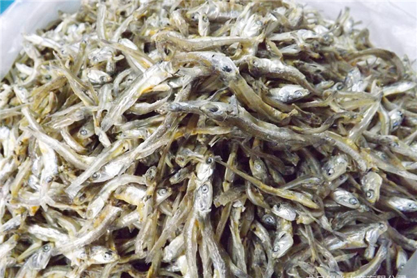 海燕魚的做法,海燕魚 海燕魚怎麼做才好吃?