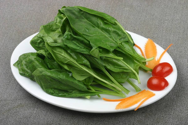 平民補血食物_補血的食物有哪些_吃什麼補血 菠菜