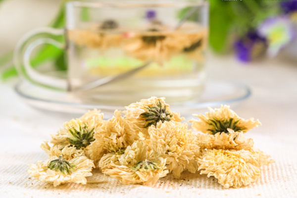 孕婦可以喝菊花茶嗎_懷孕能喝菊花茶嗎_菊花茶孕婦能喝嗎 菊花茶