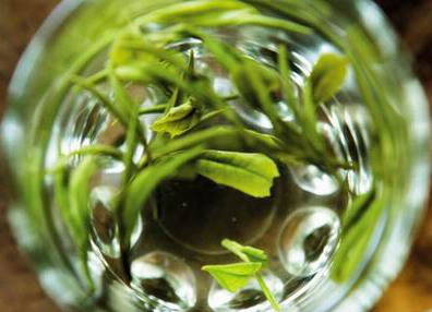 綠茶的功效與作用 新茶上市品茗時 綠茶的功效與作用 新茶上市品茗時