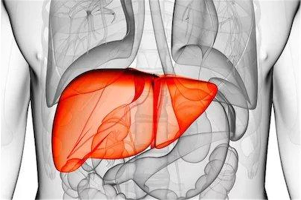 肝結節是什麼疾病呢?會不會是肝癌的預兆