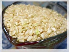 糙米減肥法