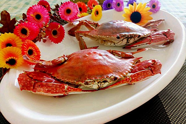 容易引起流產的食物