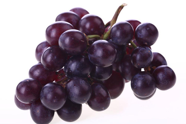 孕婦可以吃葡萄嗎_孕婦能不能吃葡萄_孕婦吃葡萄有哪些好處