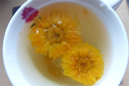 梔子泡茶有什麼好處 梔子泡茶好喝嗎 梔子泡茶有什麼好處